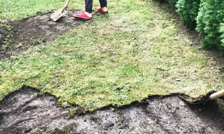 Снятие дерна старого газона в Мегионе – от 513 руб. | 2Землекопа-Мго